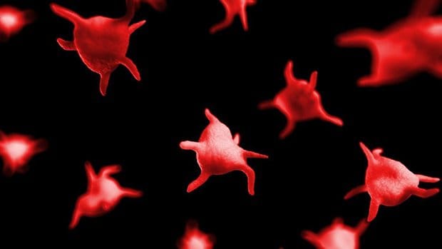 Xét nghiệm ngưng tập tiểu cầu với chất kích tập Epinephrin